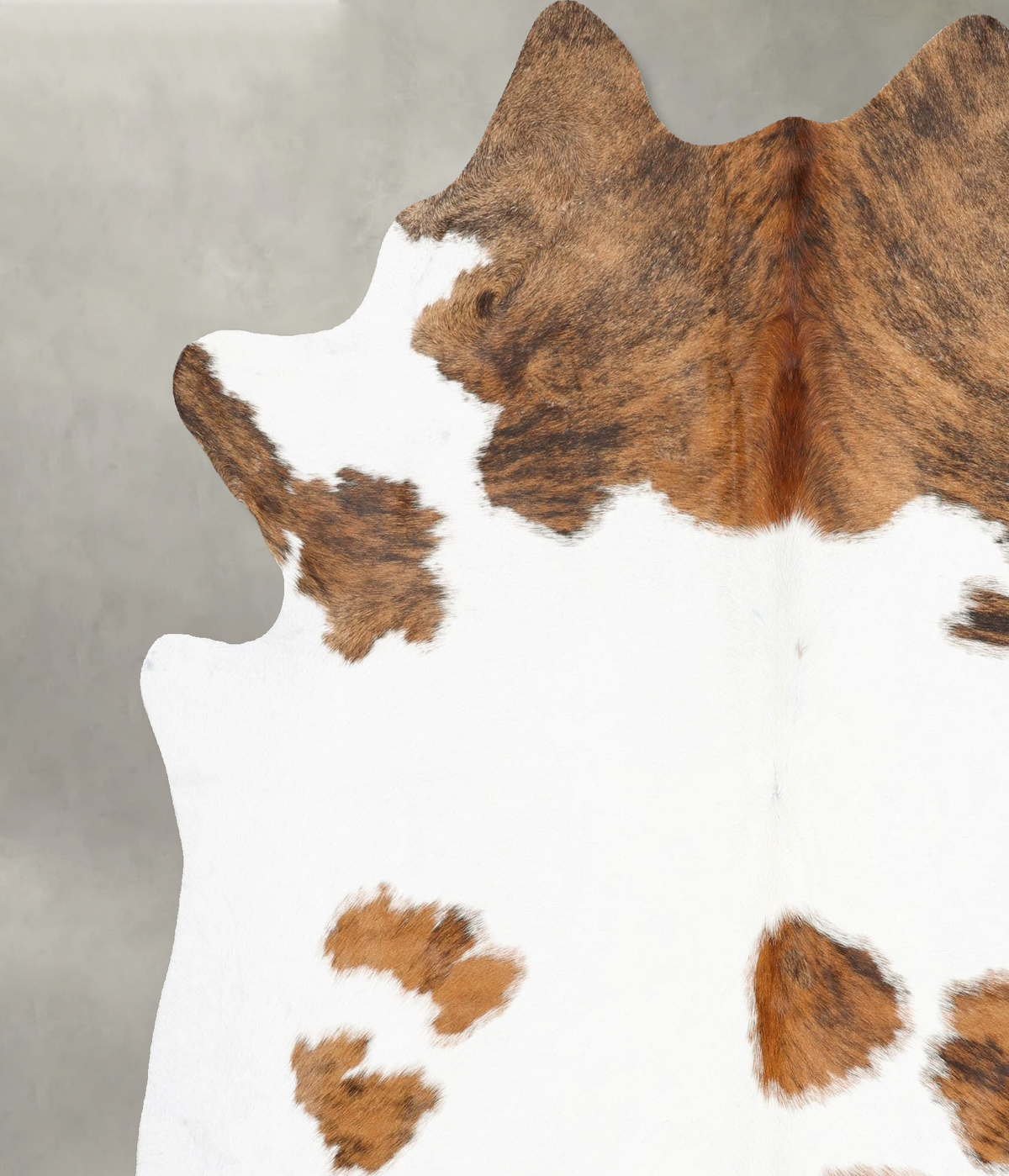 Tricolor XX-Large Brazilian Cowhide Rug 7'6"H x 6'8"W #B29804 by Hudson Hides