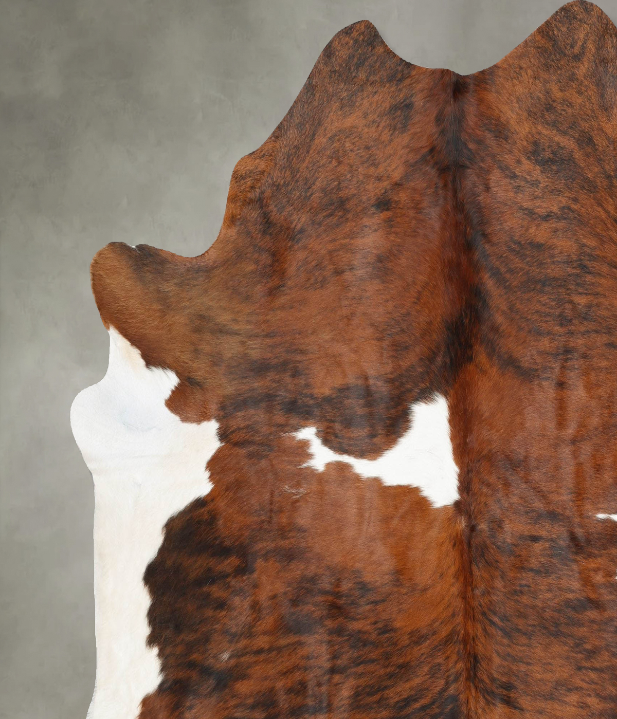 Tricolor XX-Large Brazilian Cowhide Rug 7'6"H x 6'9"W #B29805 by Hudson Hides
