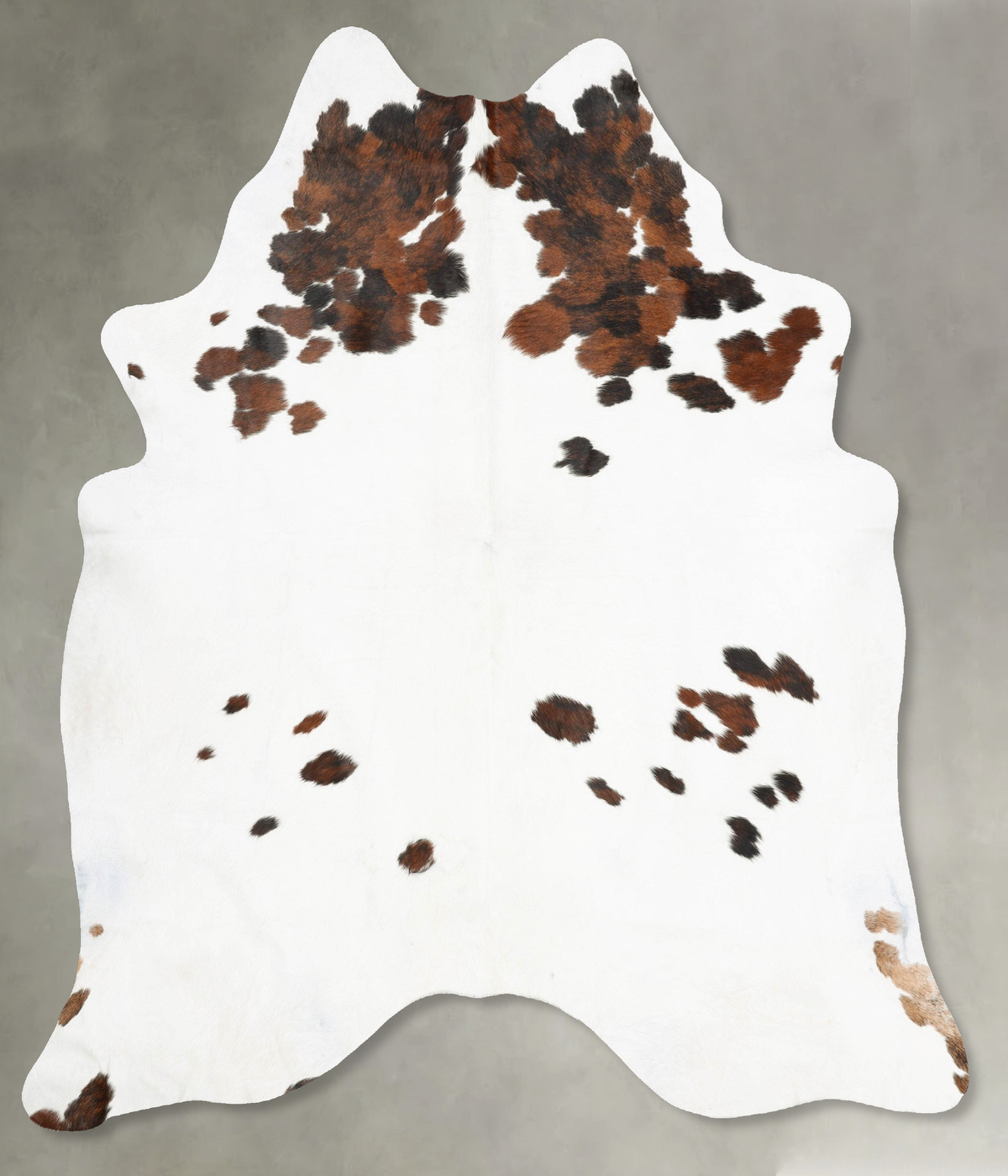 Tricolor Cowhide Rug #B29806