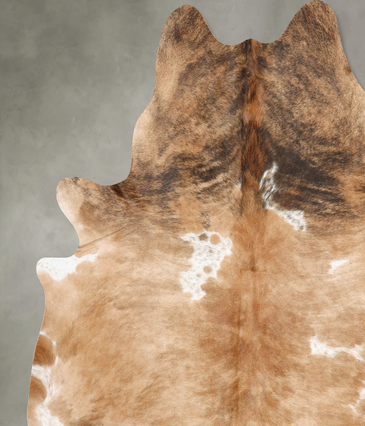Tricolor XX-Large Brazilian Cowhide Rug 7'11"H x 7'1"W #B29809 by Hudson Hides