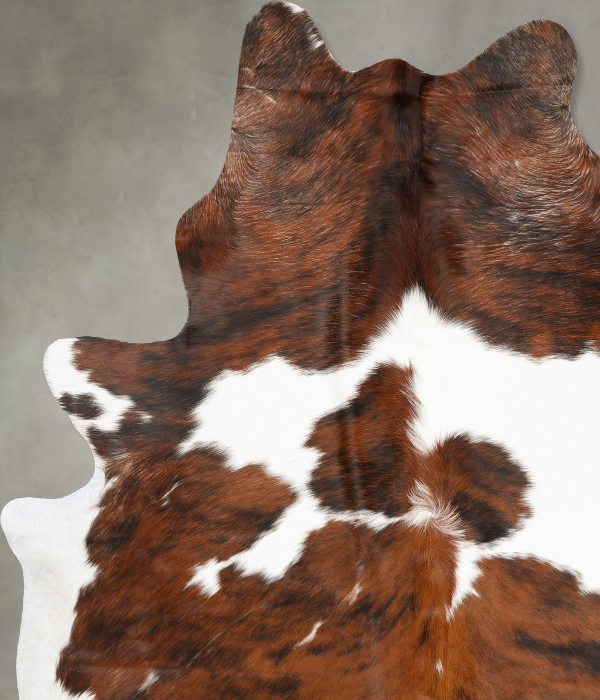 Tricolor XX-Large Brazilian Cowhide Rug 8'1"H x 6'3"W #B29810 by Hudson Hides