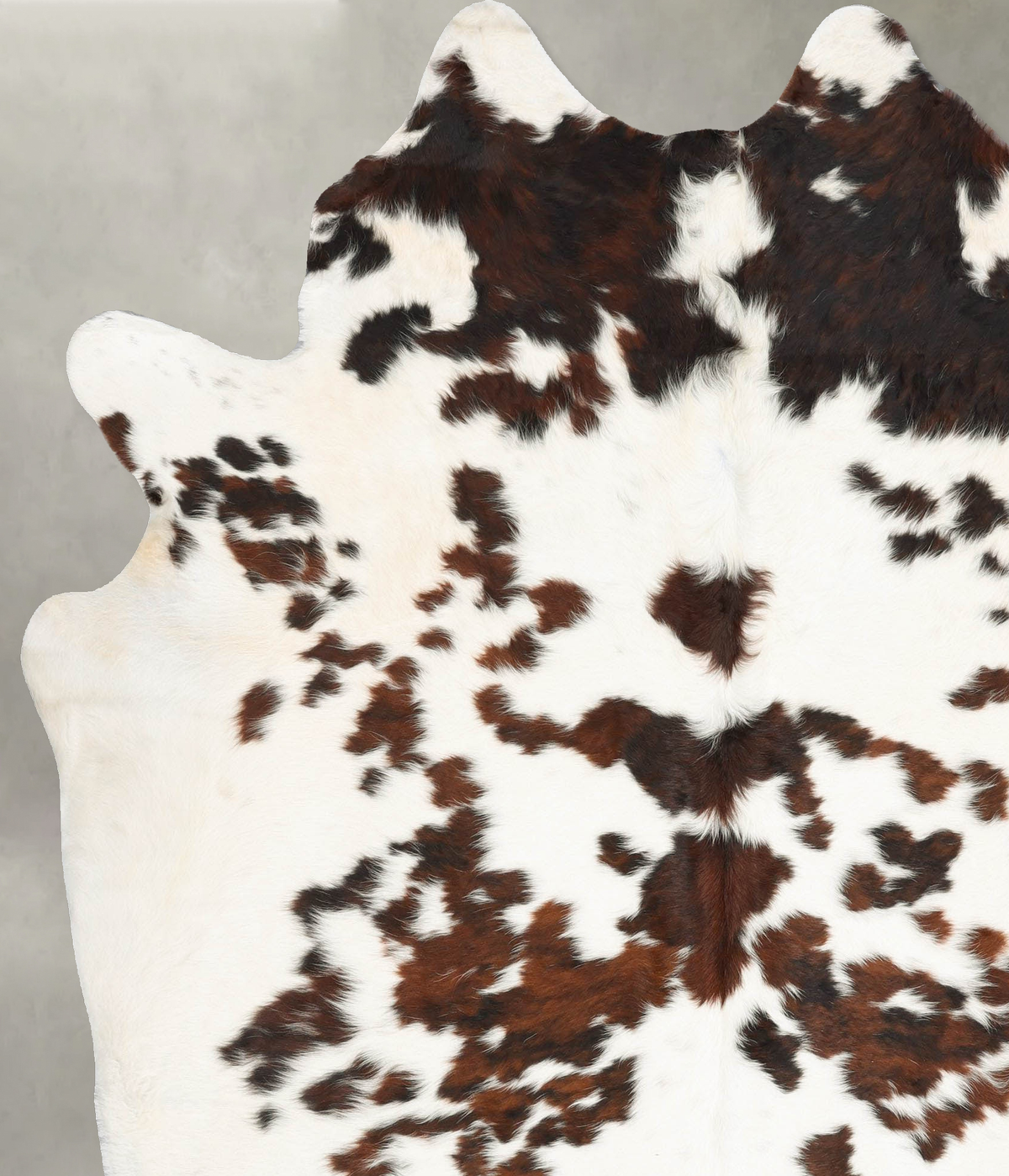 Tricolor Cowhide Rug #B29811
