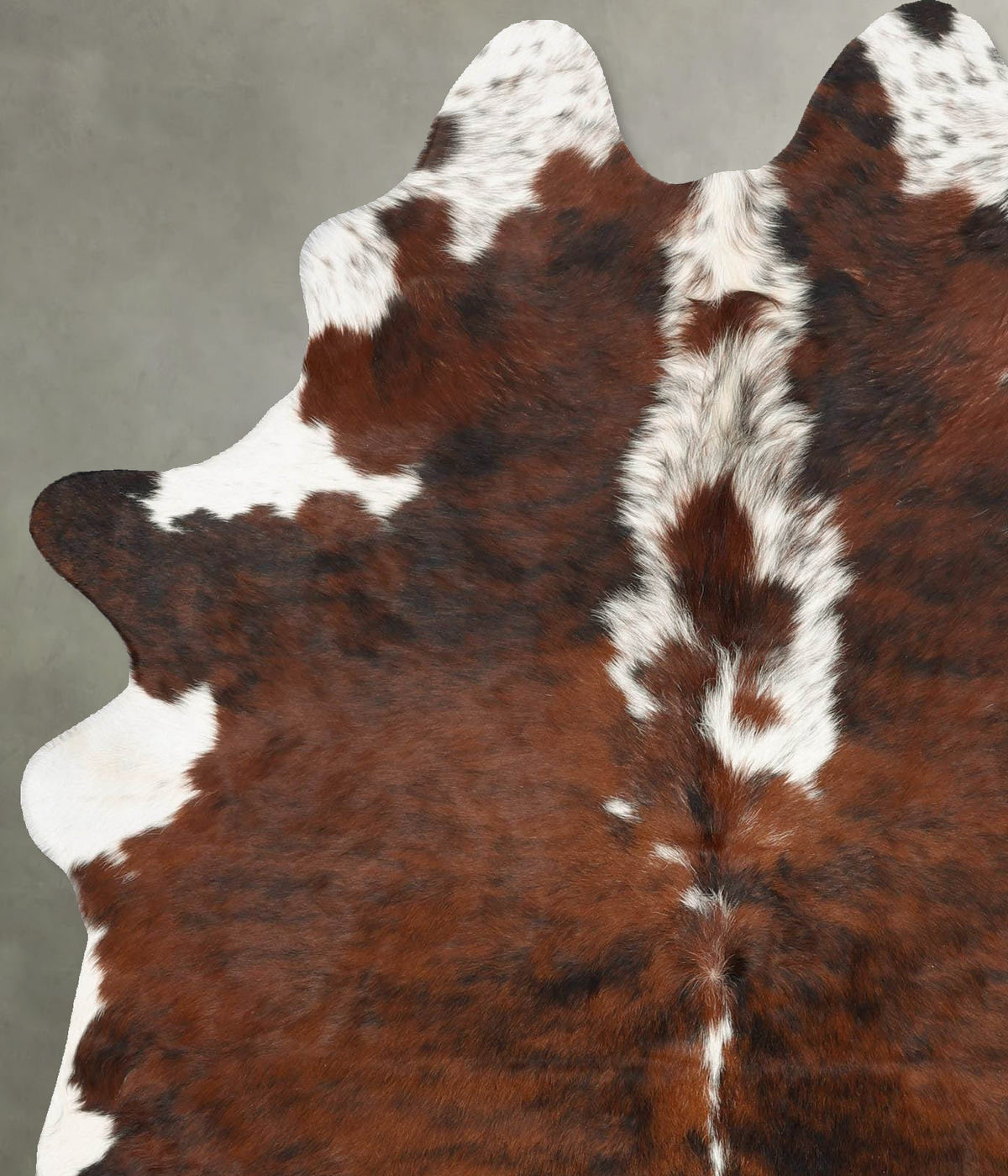 Tricolor Large Brazilian Cowhide Rug 6'9"H x 5'5"W #B29823 by Hudson Hides