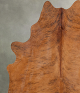 Medium Brindle Large Brazilian Cowhide Rug 6'11"H x 5'9"W #B29824 by Hudson Hides