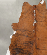 Medium Brindle X-Large Brazilian Cowhide Rug 7'3"H x 6'5"W #B29827 by Hudson Hides