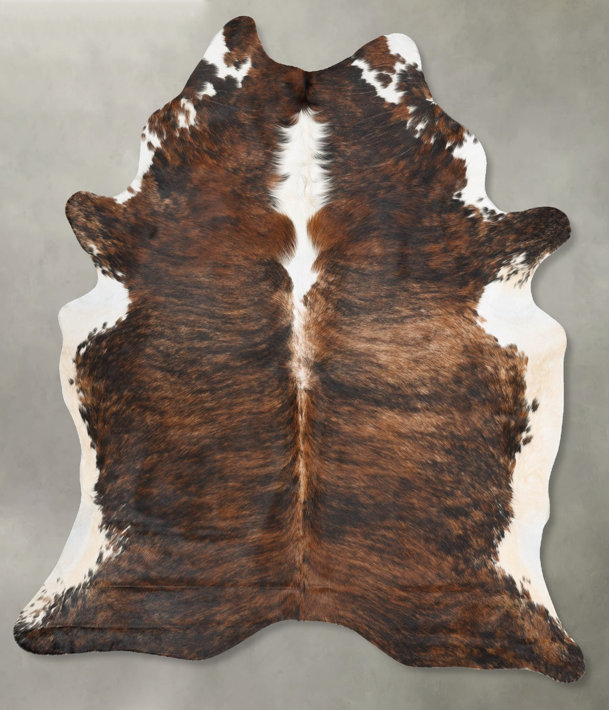 Tricolor Cowhide Rug #B29829