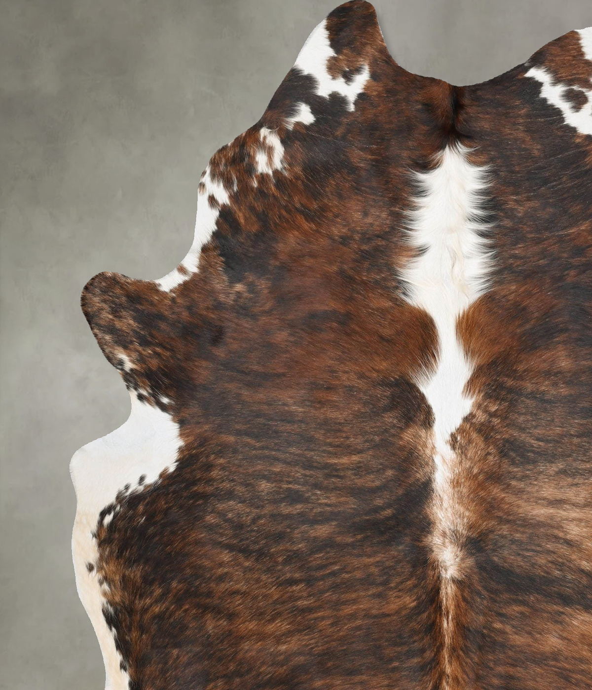 Tricolor Cowhide Rug #B29829