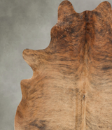 Medium Brindle X-Large Brazilian Cowhide Rug 7'0"H x 6'5"W #B29830 by Hudson Hides
