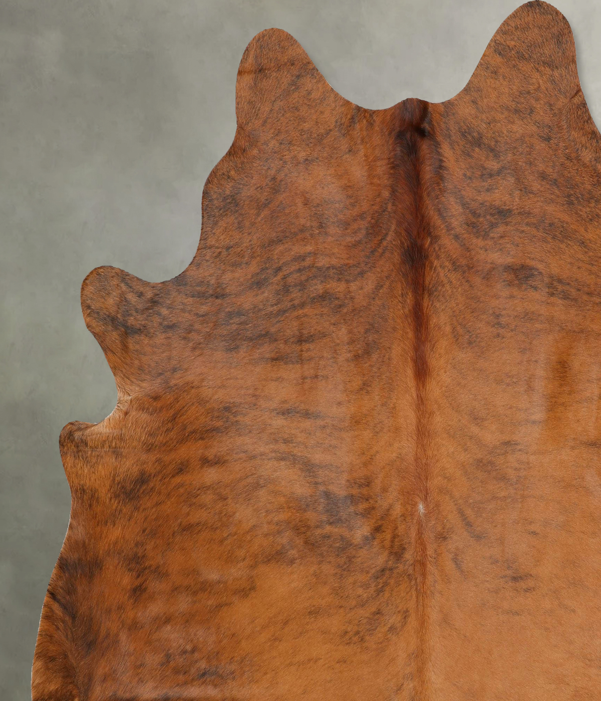 Medium Brindle XX-Large Brazilian Cowhide Rug 7'7"H x 6'9"W #B29837 by Hudson Hides