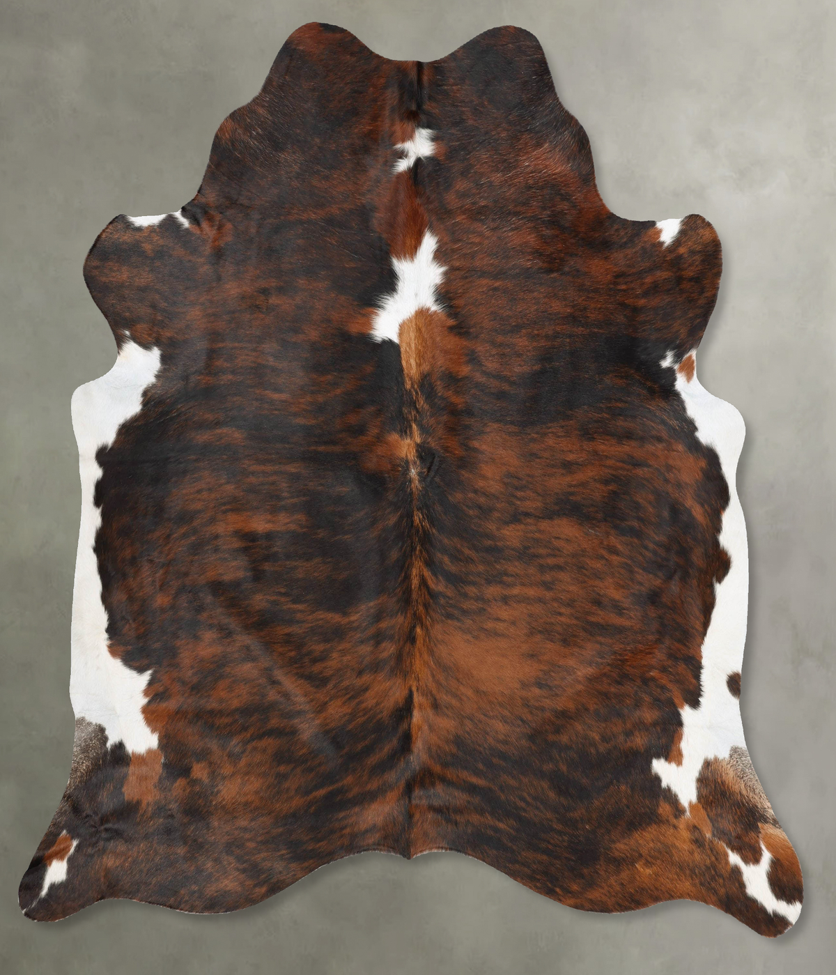Tricolor Cowhide Rug #B29841