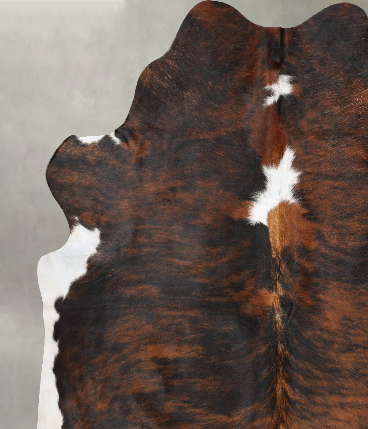 Tricolor X-Large Brazilian Cowhide Rug 6'11"H x 6'4"W #B29841 by Hudson Hides