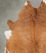 Medium Brindle XX-Large Brazilian Cowhide Rug 9'1"H x 7'7"W #B29844 by Hudson Hides