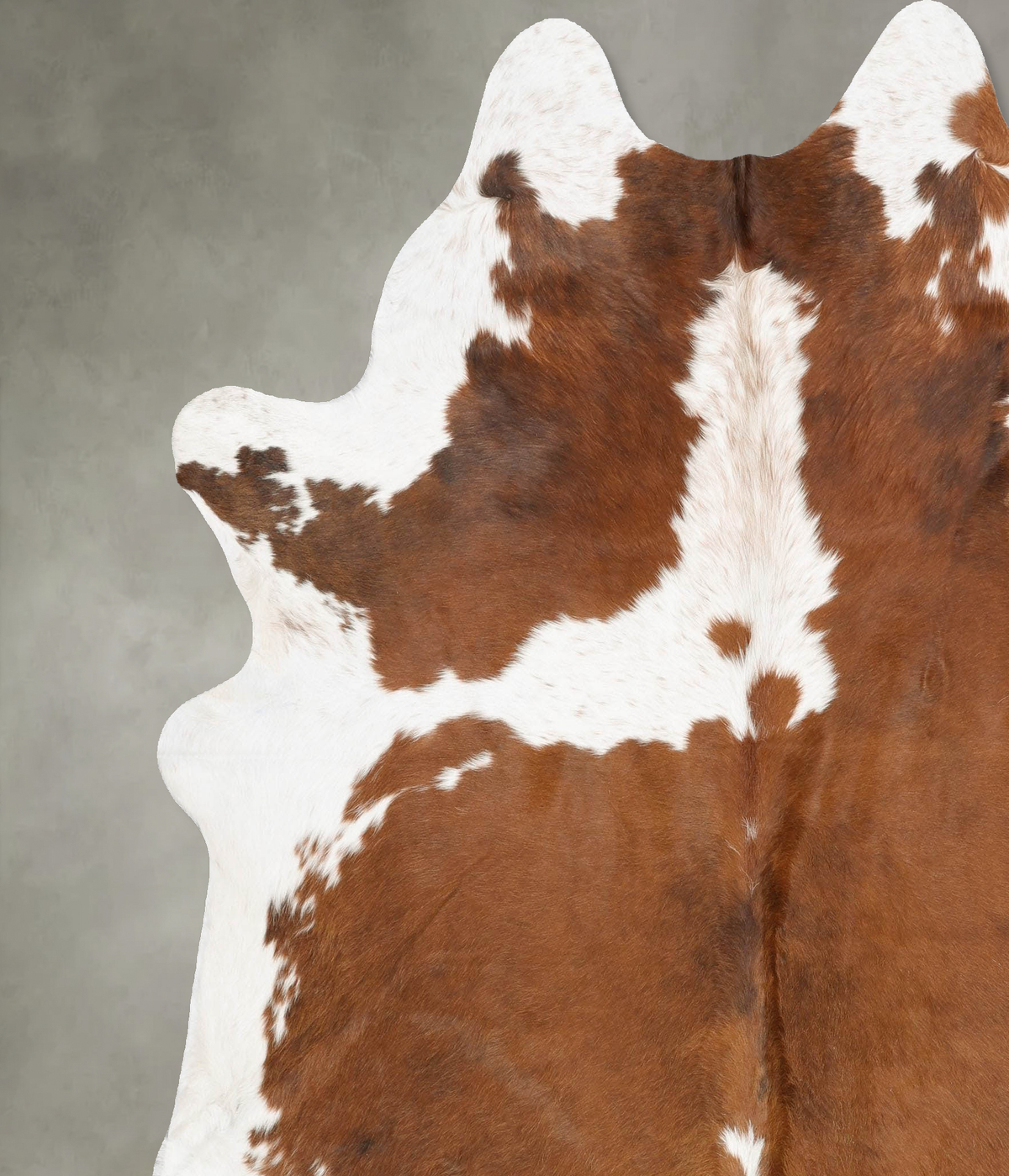 Tricolor XX-Large Brazilian Cowhide Rug 8'1"H x 6'11"W #B29846 by Hudson Hides