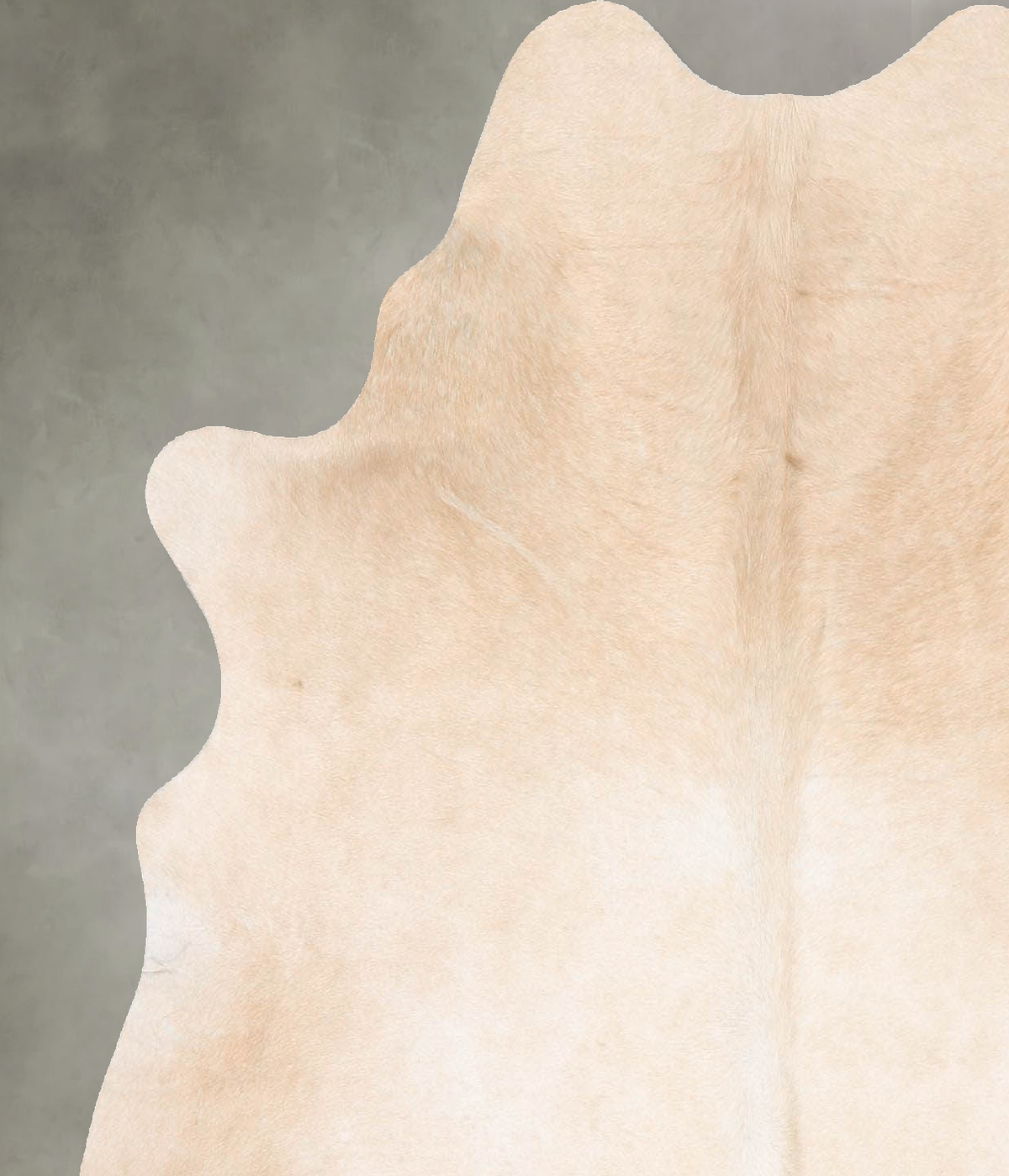 Palomino Medium Brazilian Cowhide Rug 5'1"H x 4'11"W #B29849 by Hudson Hides