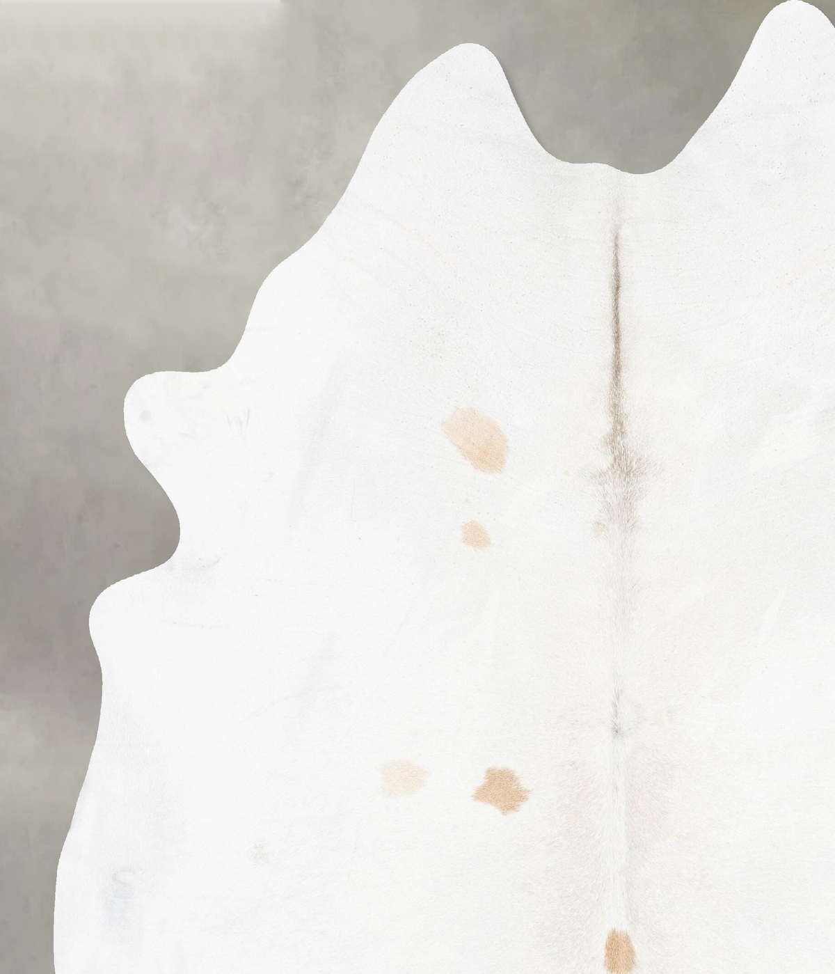 Ivory with Beige XX-Large Brazilian Cowhide Rug 8'10"H x 7'2"W #B29853 by Hudson Hides