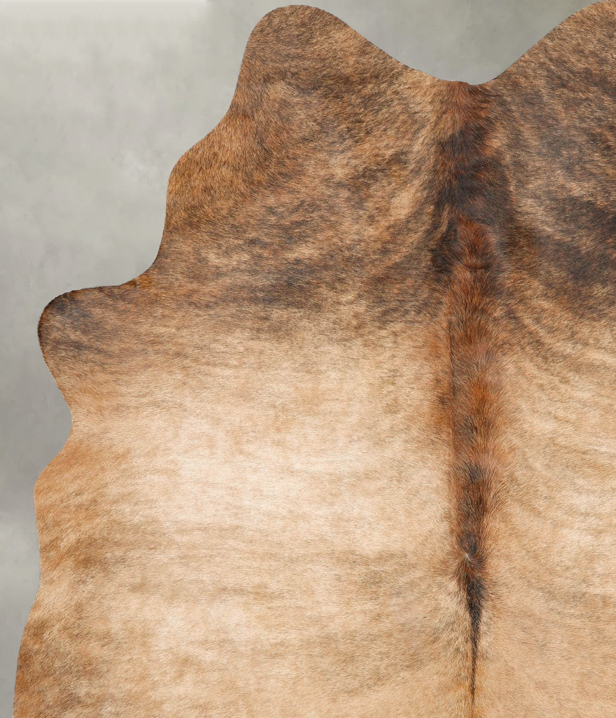 Medium Brindle Large Brazilian Cowhide Rug 7'1"H x 5'4"W #B29856 by Hudson Hides