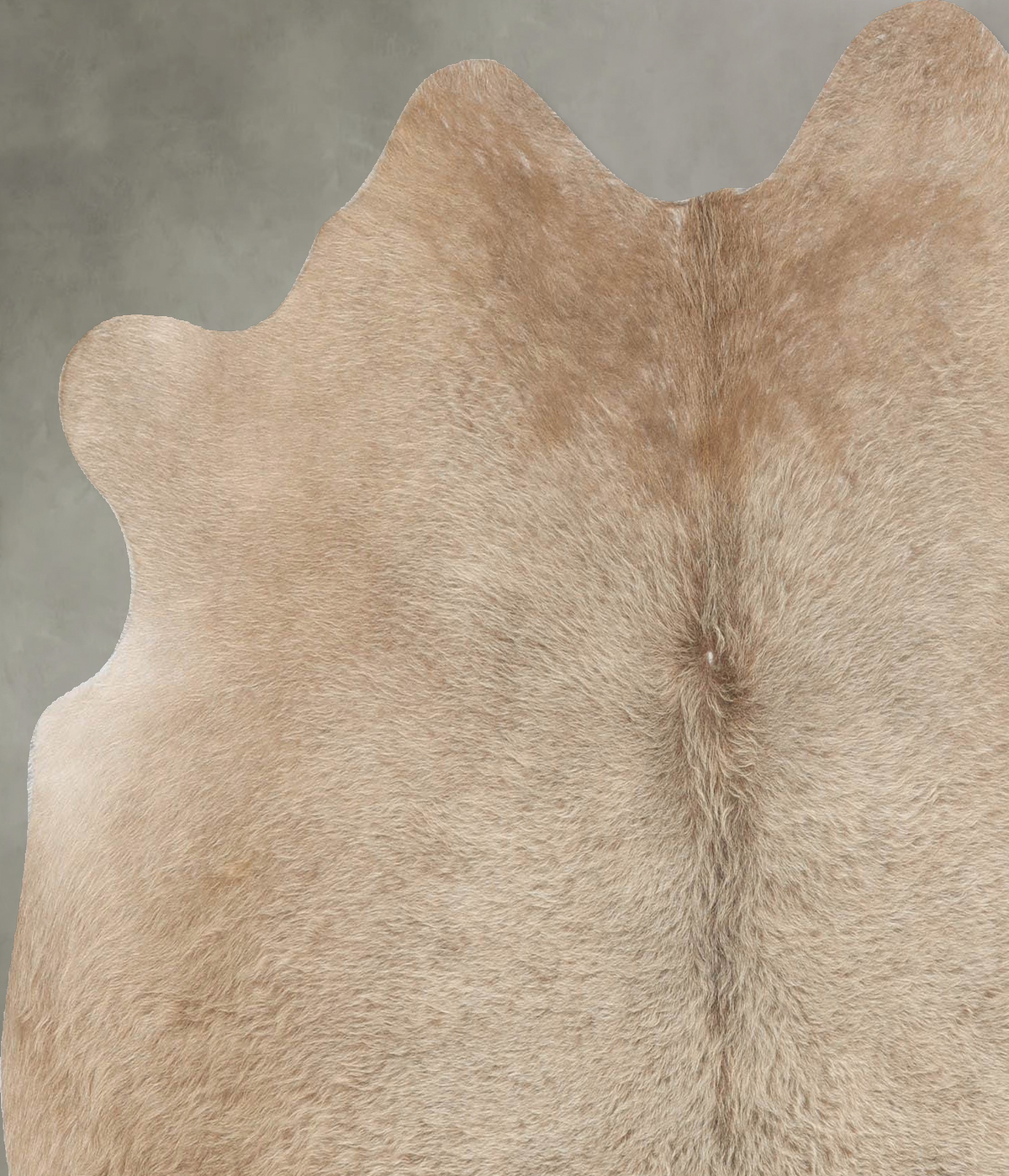 Champagne Large Brazilian Cowhide Rug 5'9"H x 5'7"W #B29857 by Hudson Hides