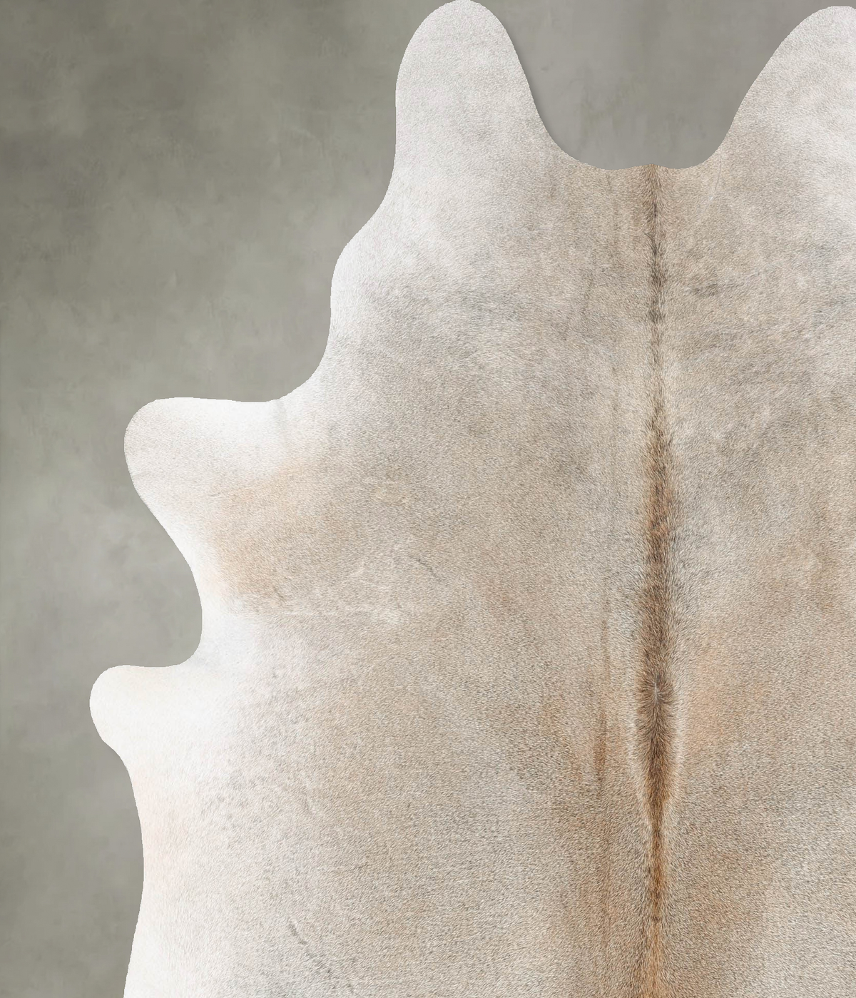 Grey with Beige Cowhide Rug #B29859