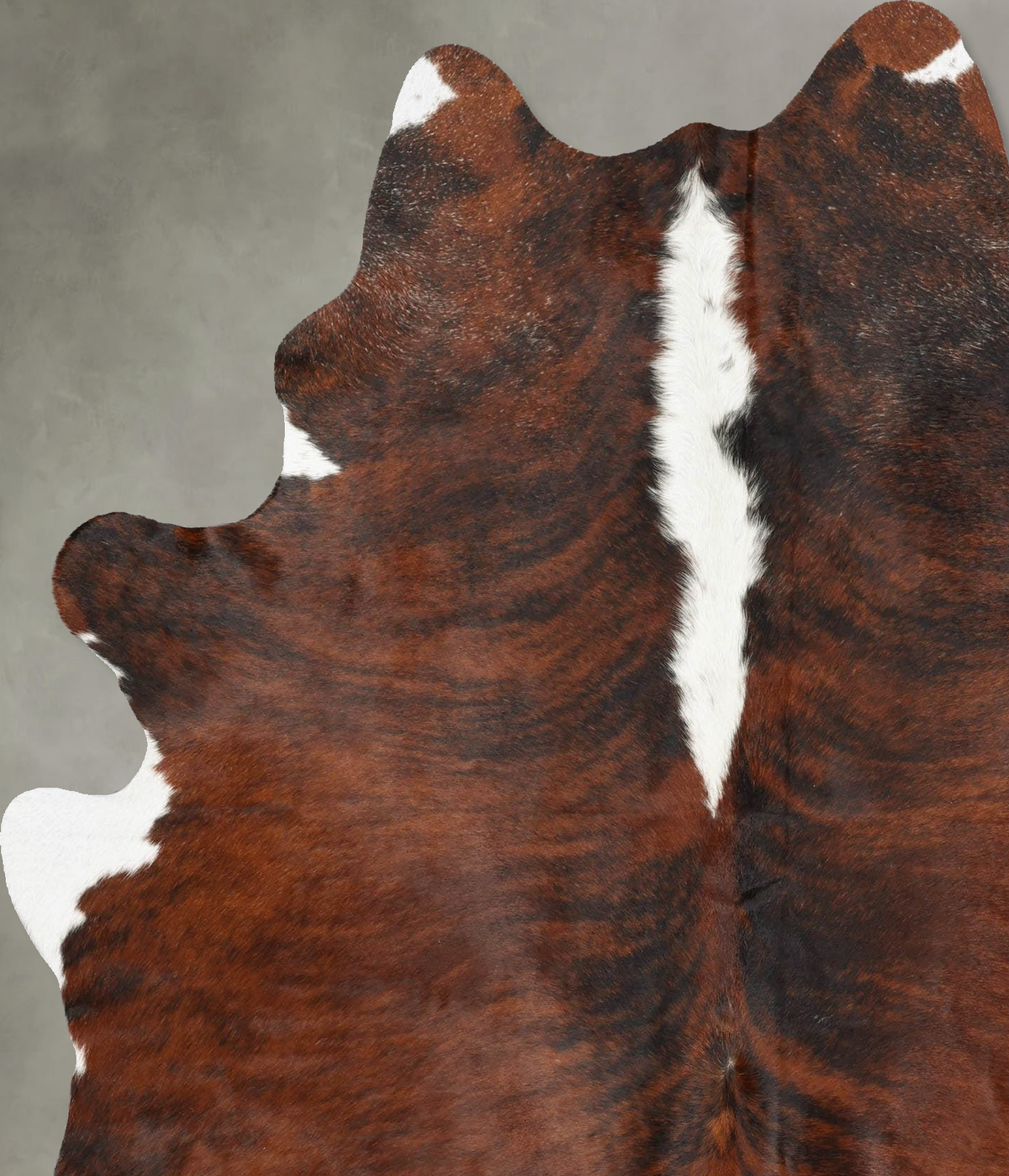 Tricolor X-Large Brazilian Cowhide Rug 7'3"H x 5'7"W #B29860 by Hudson Hides
