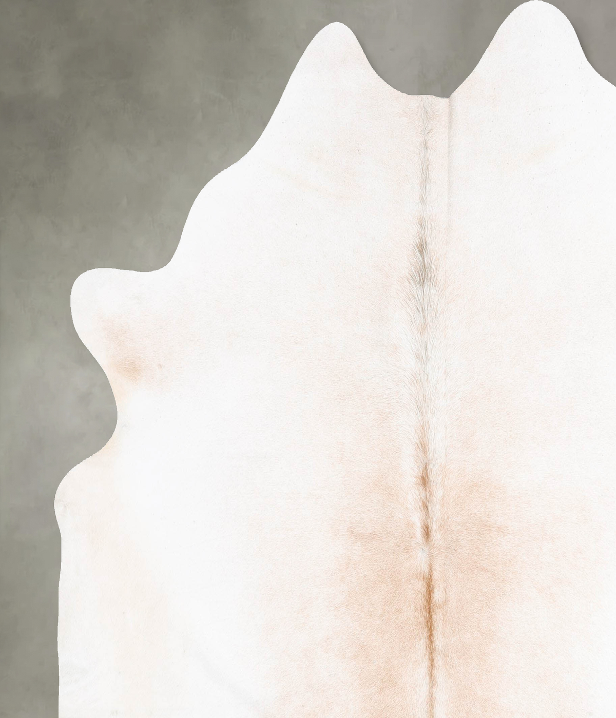 Ivory with Beige XX-Large Brazilian Cowhide Rug 7'11"H x 7'2"W #B29865 by Hudson Hides