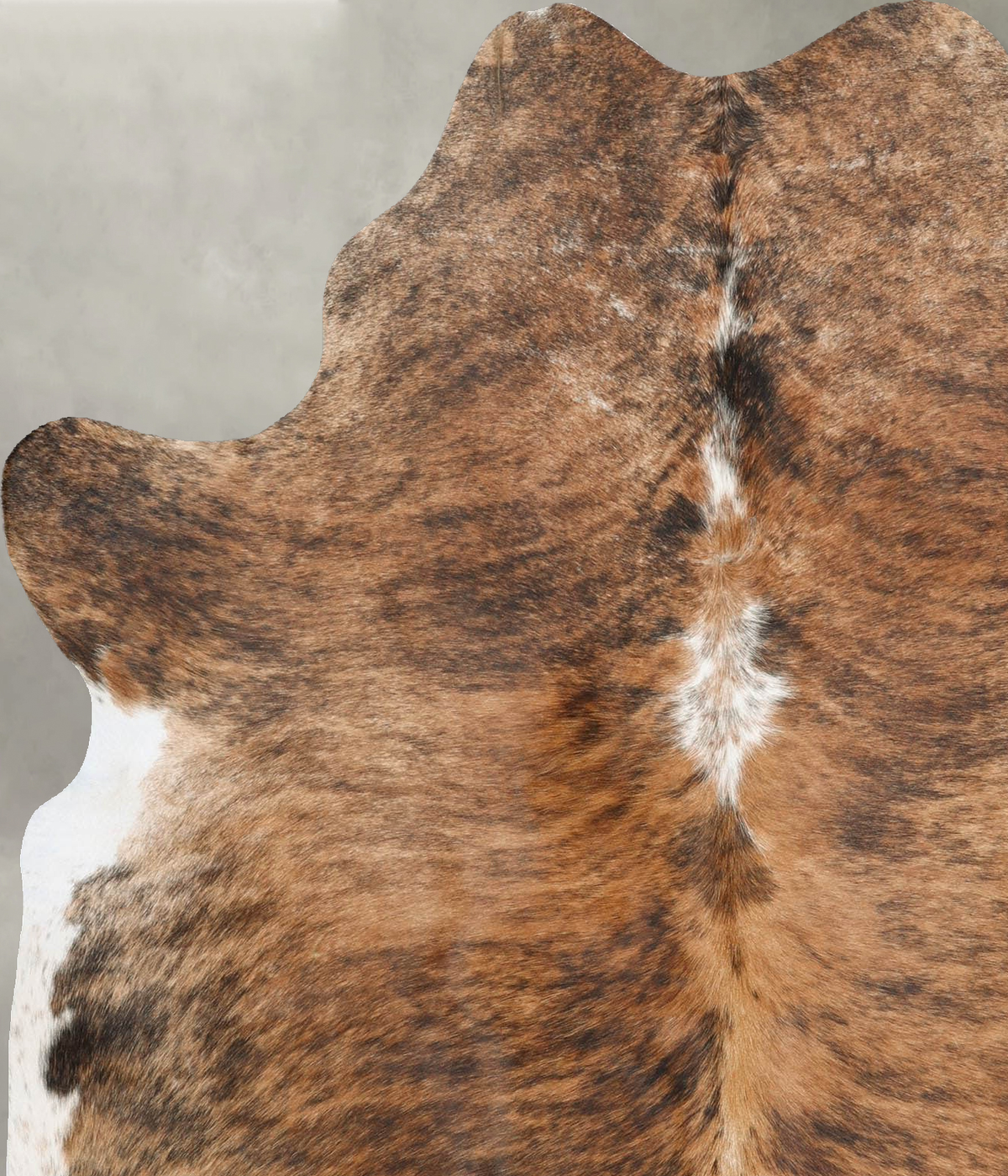 Medium Brindle Large Brazilian Cowhide Rug 6'4"H x 5'2"W #B29870 by Hudson Hides