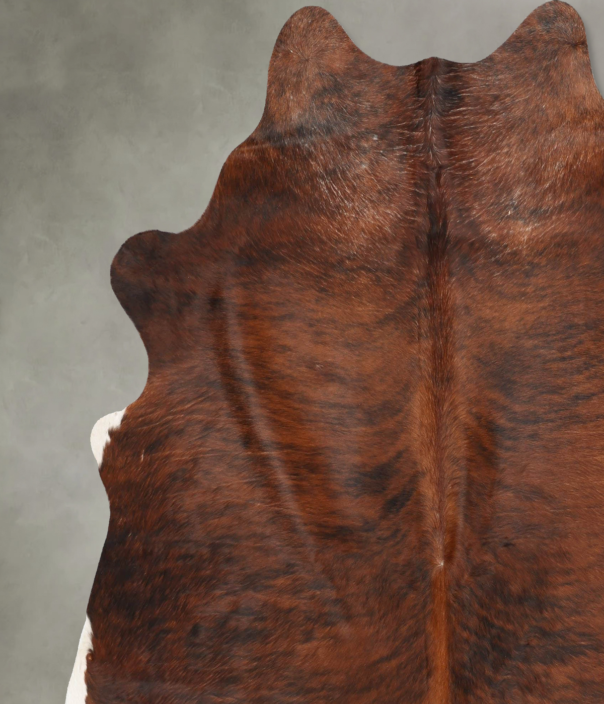 Medium Brindle X-Large Brazilian Cowhide Rug 7'5"H x 6'8"W #B29875 by Hudson Hides