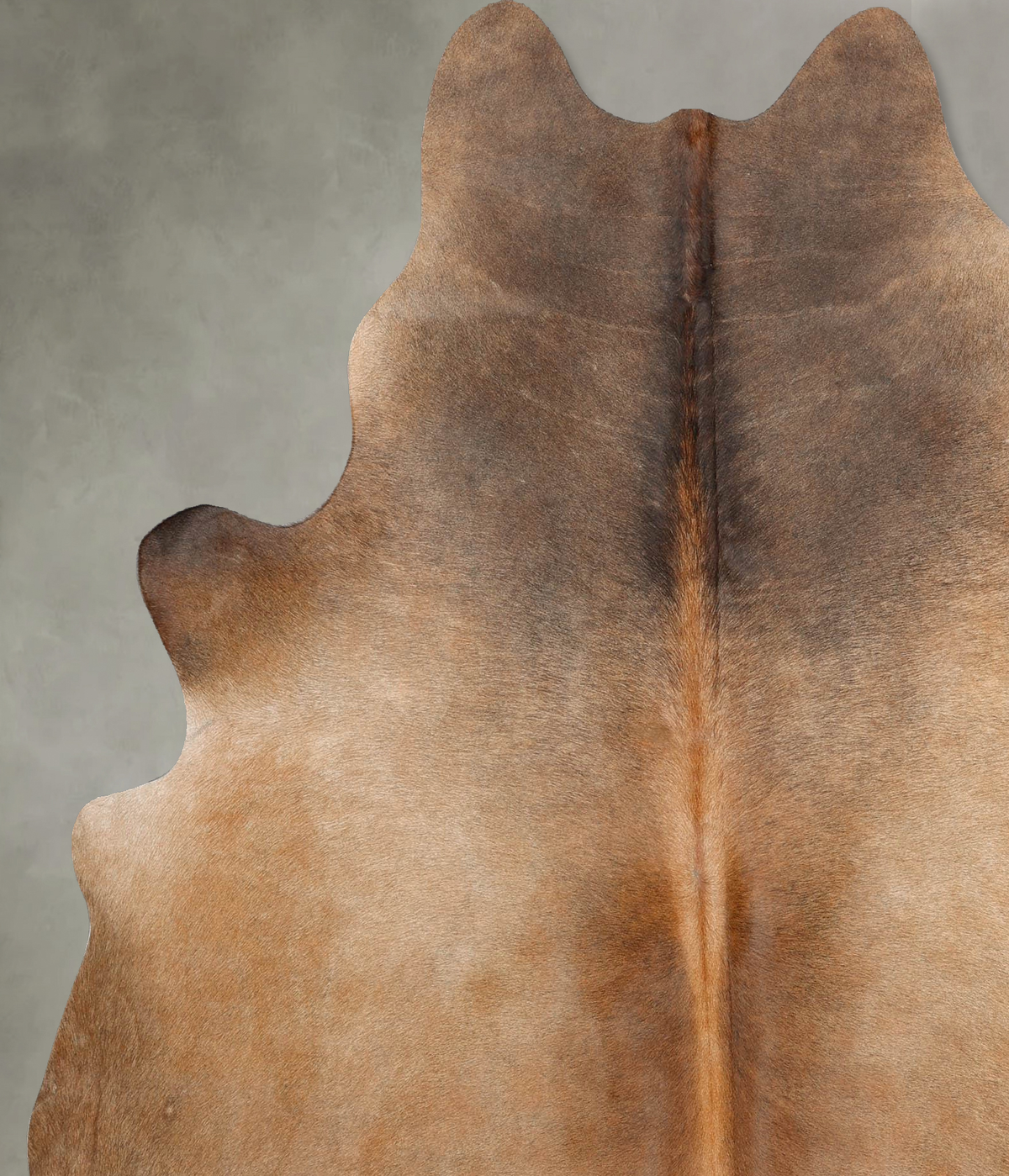Light Caramel X-Large Brazilian Cowhide Rug 7'0"H x 6'3"W #B29877 by Hudson Hides