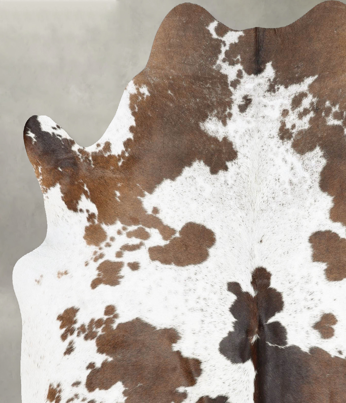 Chocolate and White Large Brazilian Cowhide Rug 6'1"H x 5'4"W #B29878 by Hudson Hides