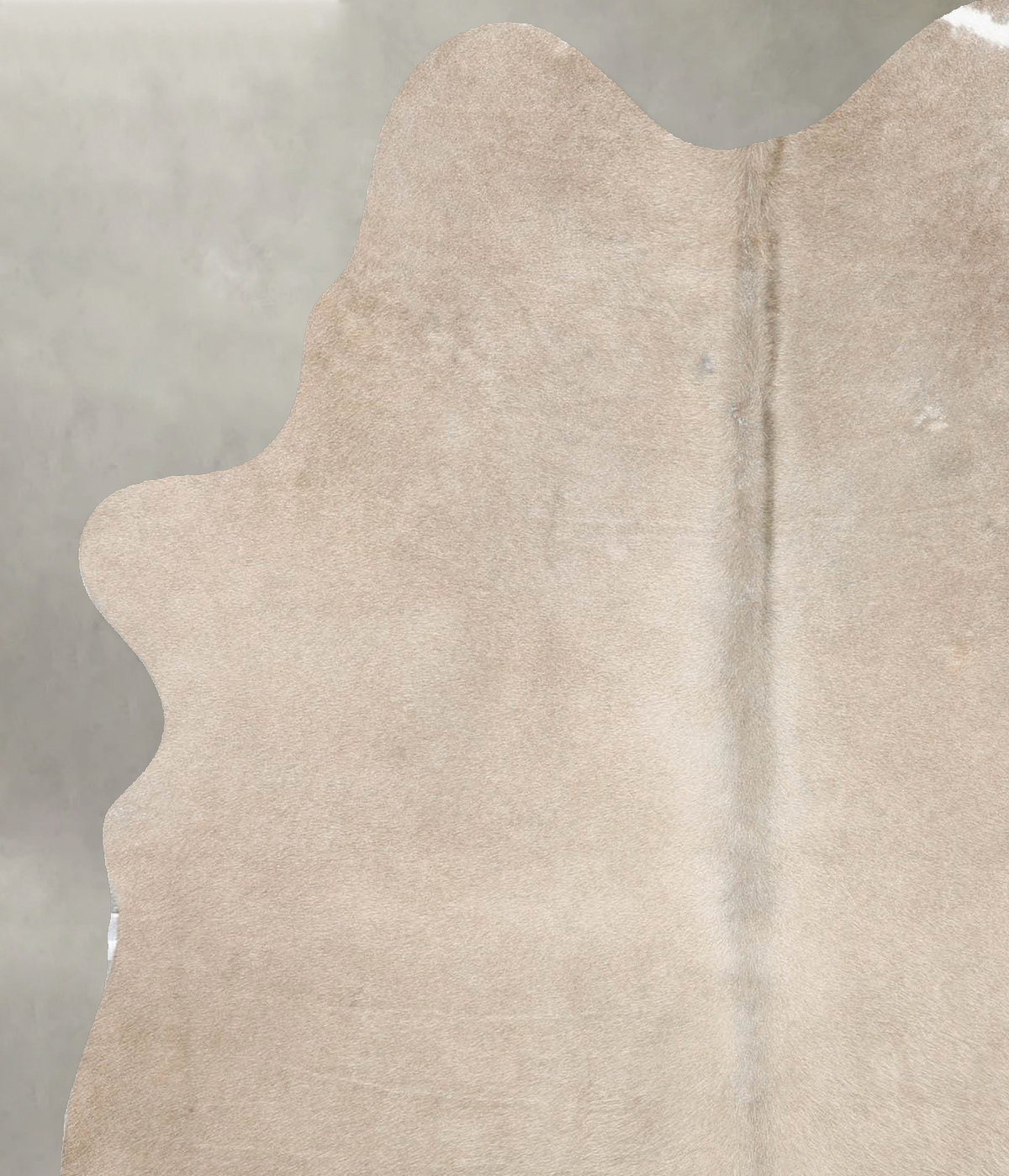 Taupe Medium Brazilian Cowhide Rug 6'0"H x 4'9"W #B29879 by Hudson Hides