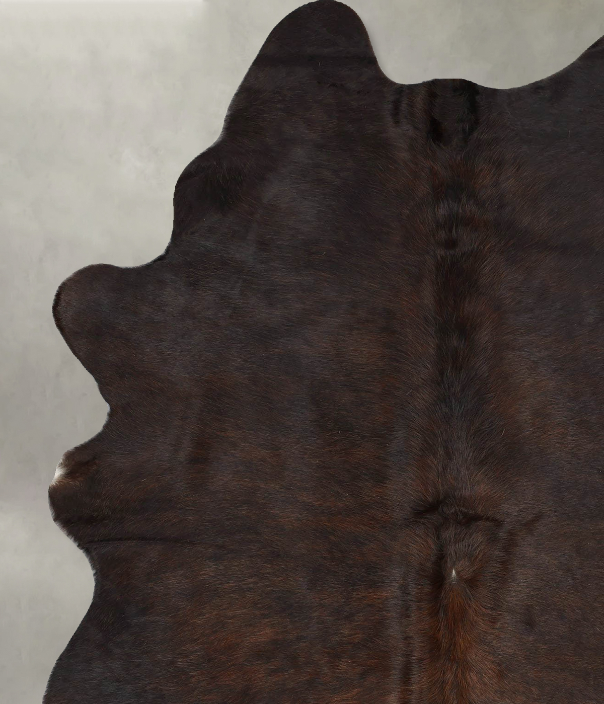 Dark Brindle Large Brazilian Cowhide Rug 7'6"H x 5'1"W #B29883 by Hudson Hides
