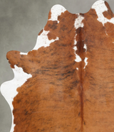 Medium Brindle Large Brazilian Cowhide Rug 7'0"H x 5'8"W #B29884 by Hudson Hides