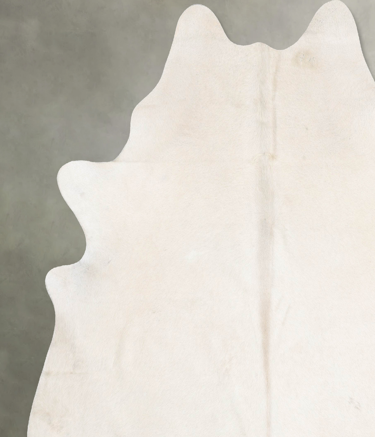 Champagne XX-Large Brazilian Cowhide Rug 7'11"H x 7'1"W #B29891 by Hudson Hides