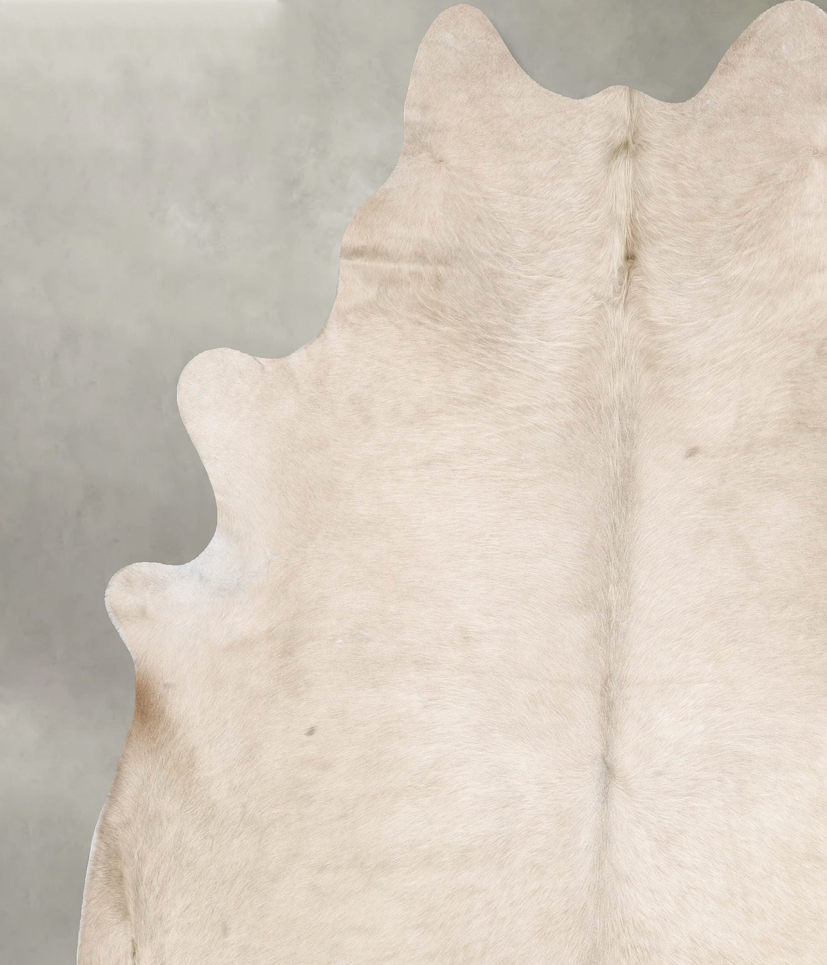 Champagne XX-Large Brazilian Cowhide Rug 8'2"H x 7'2"W #B29894 by Hudson Hides