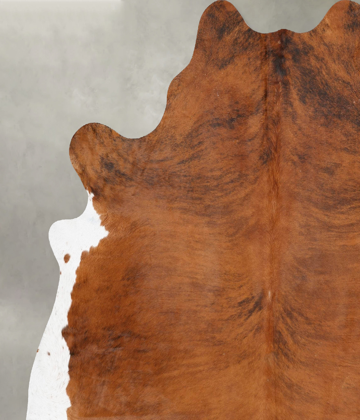 Medium Brindle XX-Large Brazilian Cowhide Rug 8'2"H x 6'10"W #B29899 by Hudson Hides