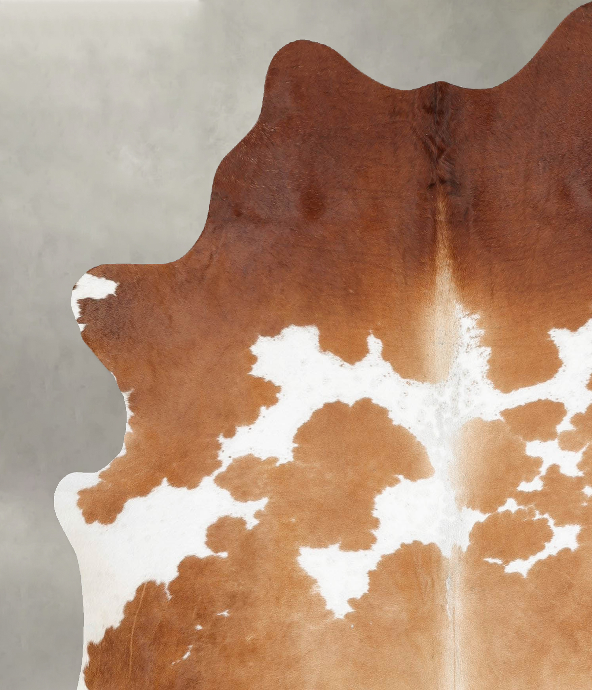 Brown and White X-Large Brazilian Cowhide Rug 6'11"H x 5'11"W #B29910 by Hudson Hides