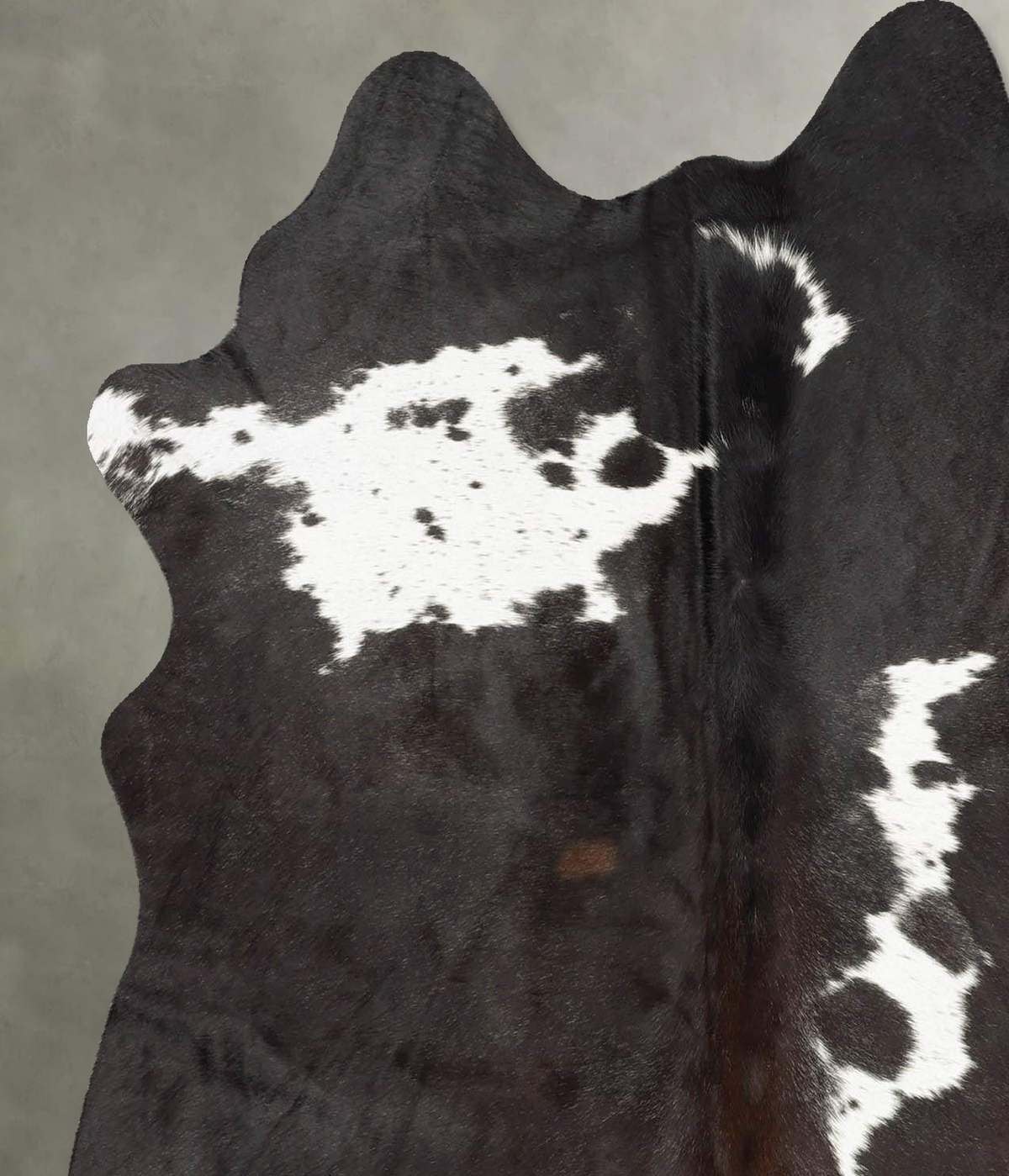 Chocolate and White Medium Brazilian Cowhide Rug 5'6"H x 5'0"W #B29913 by Hudson Hides