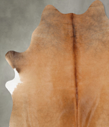 Light Caramel X-Large Brazilian Cowhide Rug 7'8"H x 6'0"W #B29918 by Hudson Hides