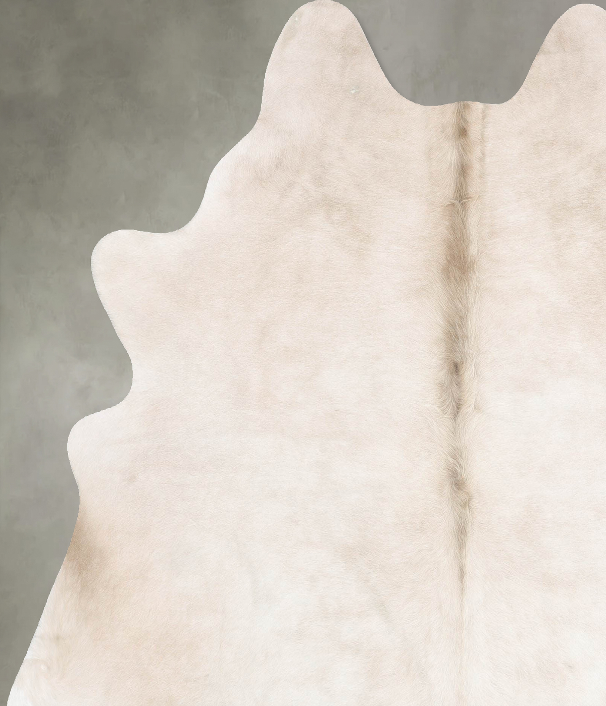 Champagne XX-Large Brazilian Cowhide Rug 8'1"H x 6'4"W #B29921 by Hudson Hides