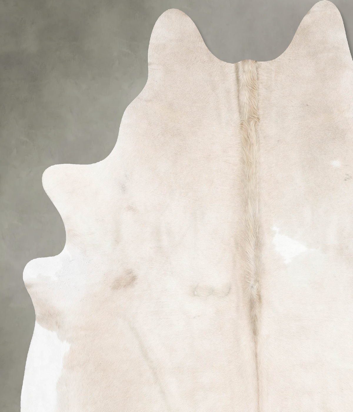 Champagne XX-Large Brazilian Cowhide Rug 8'0"H x 6'11"W #B29922 by Hudson Hides