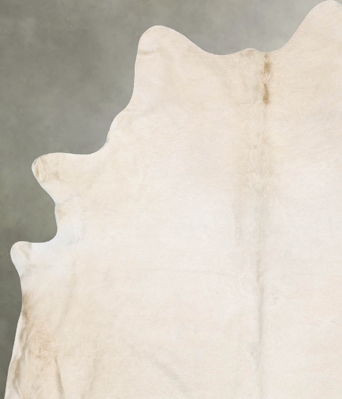 Champagne XX-Large Brazilian Cowhide Rug 8'0"H x 6'6"W #B29925 by Hudson Hides