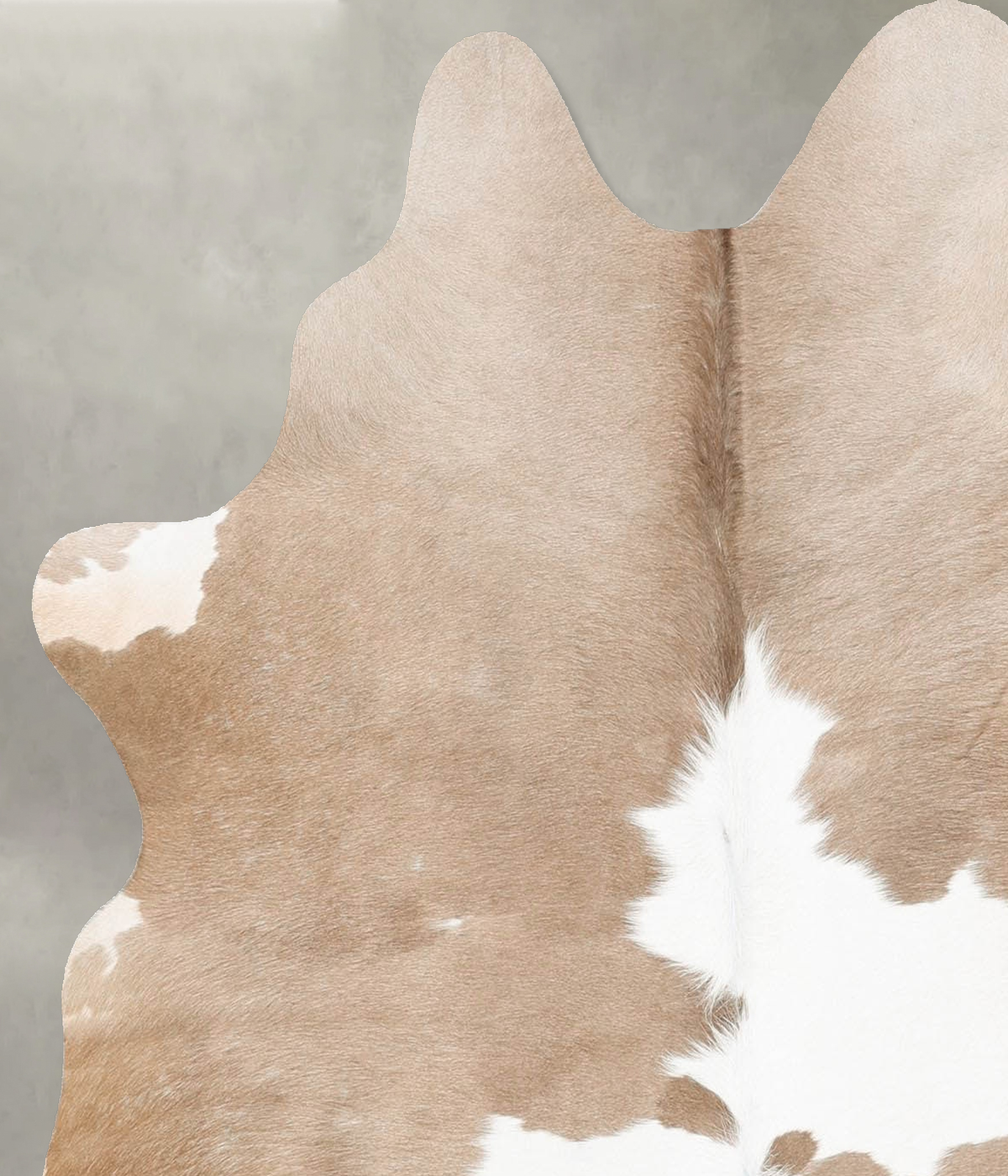 Beige and White Medium Brazilian Cowhide Rug 5'1"H x 4'8"W #B29926 by Hudson Hides