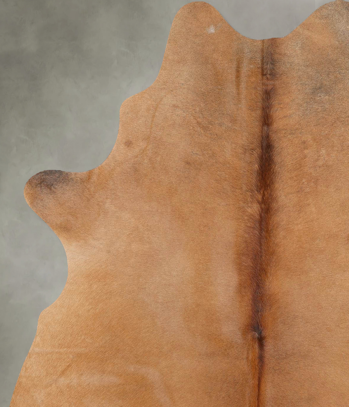 Beige Medium Brazilian Cowhide Rug 6'1"H x 4'8"W #B29927 by Hudson Hides