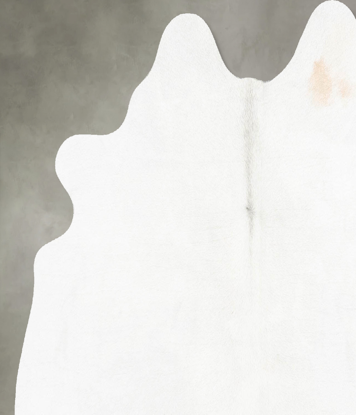 Light Grey Medium Brazilian Cowhide Rug 5'1"H x 5'1"W #B29931 by Hudson Hides