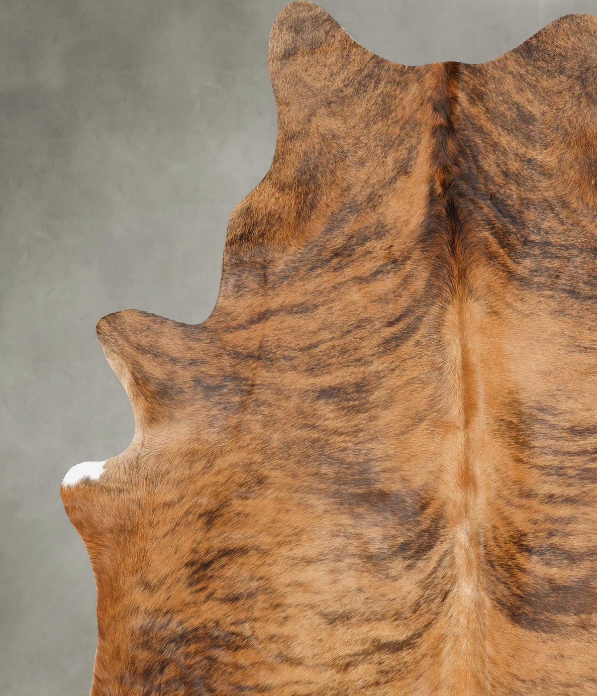 Medium Brindle X-Large Brazilian Cowhide Rug 7'2"H x 5'8"W #B29936 by Hudson Hides