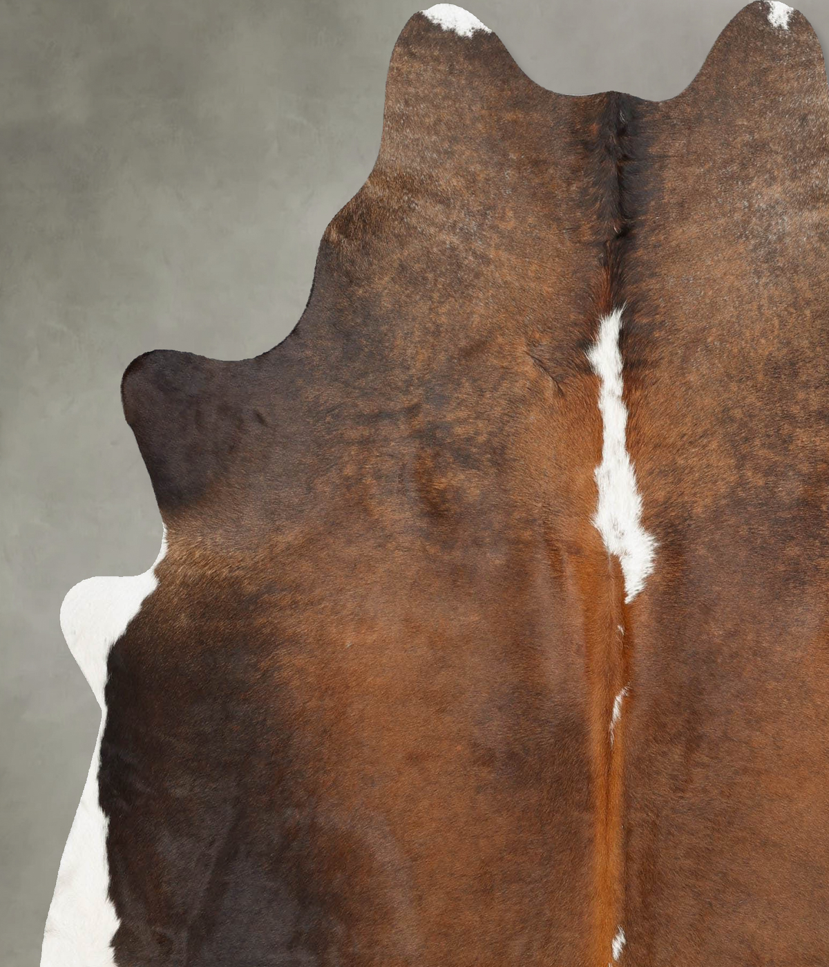 Chocolate and White X-Large Brazilian Cowhide Rug 7'0"H x 6'0"W #B29938 by Hudson Hides