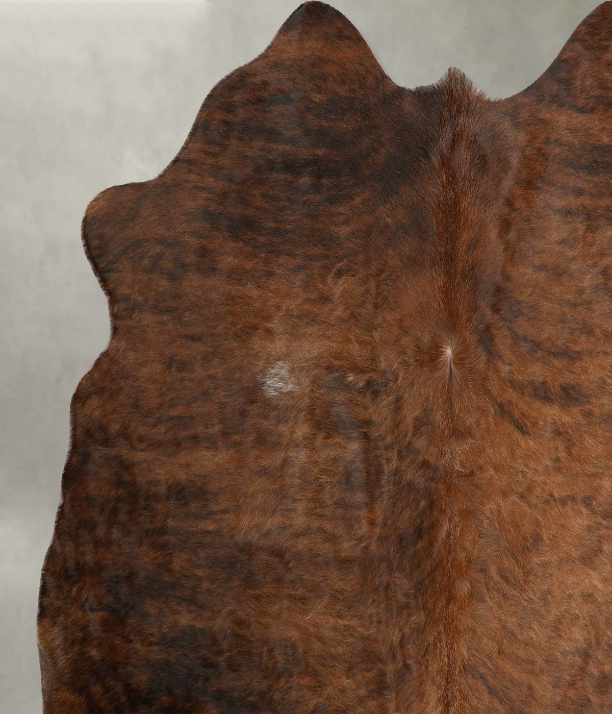 Medium Brindle Large Brazilian Cowhide Rug 5'10"H x 5'9"W #B29940 by Hudson Hides