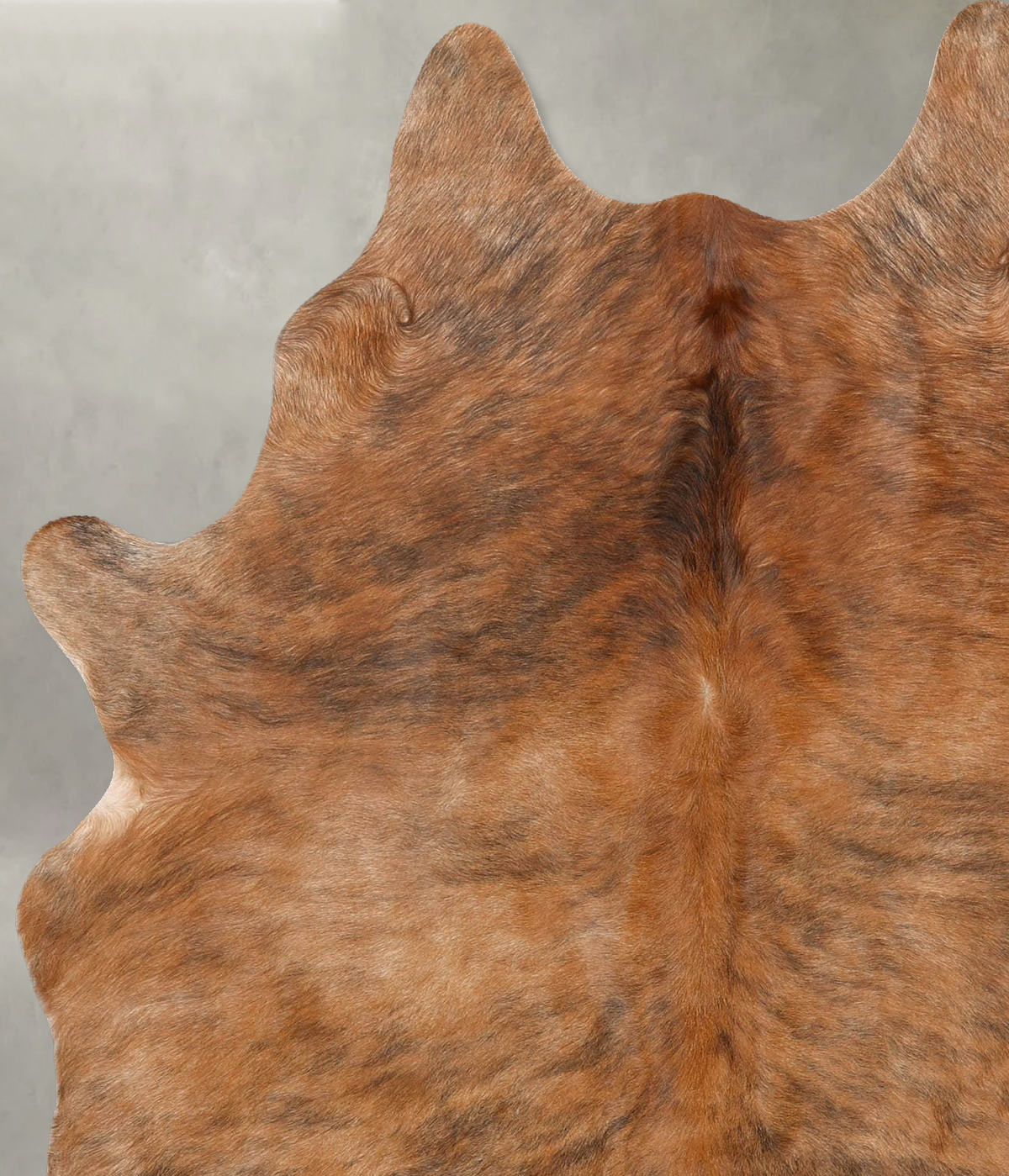 Medium Brindle Large Brazilian Cowhide Rug 6'5"H x 5'1"W #B29942 by Hudson Hides