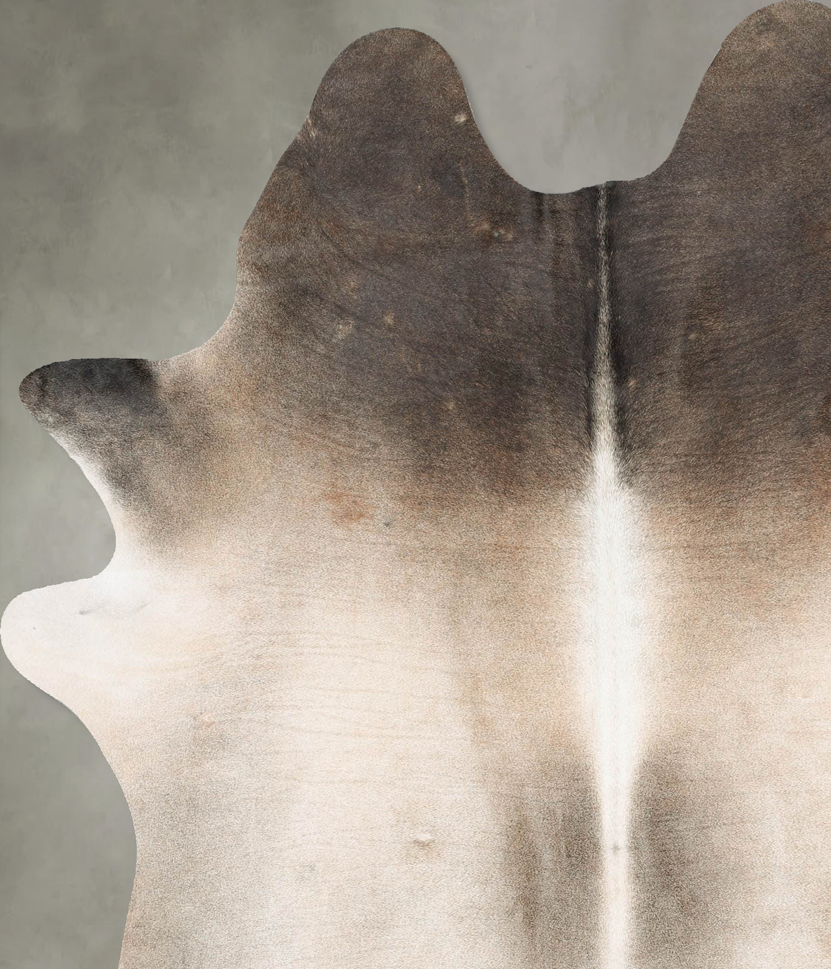 Grey with Beige Large Brazilian Cowhide Rug 6'11"H x 5'7"W #B29946 by Hudson Hides