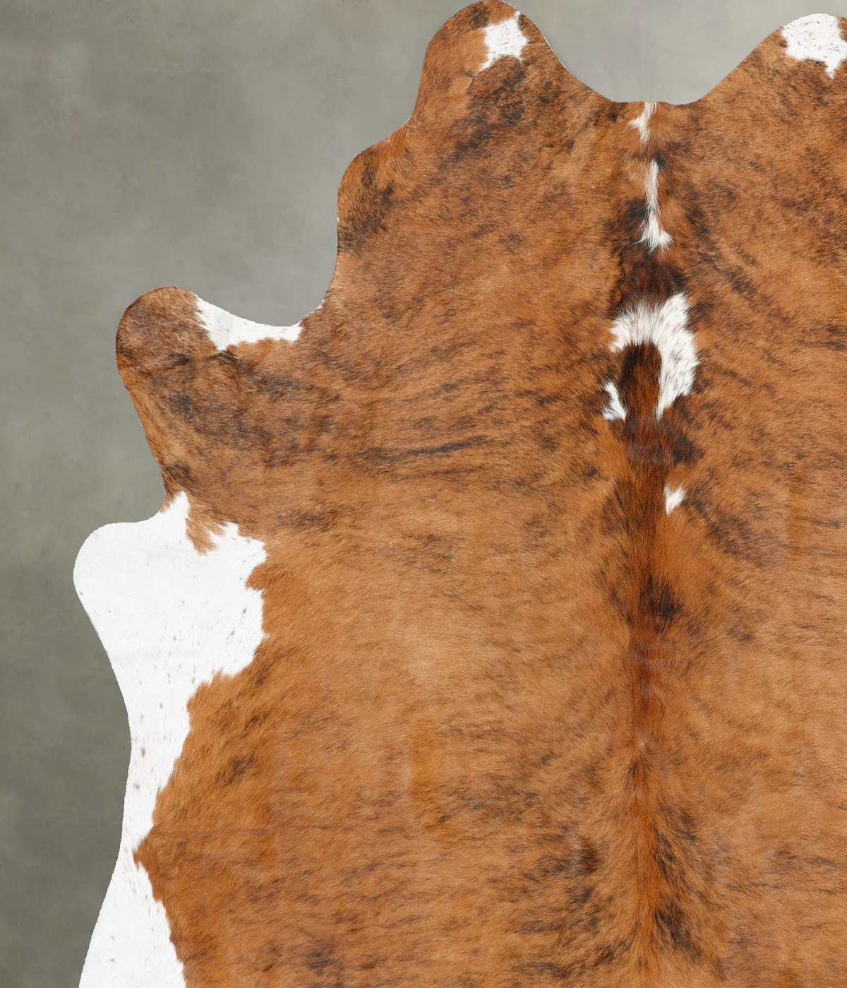 Medium Brindle X-Large Brazilian Cowhide Rug 7'0"H x 6'1"W #B29947 by Hudson Hides