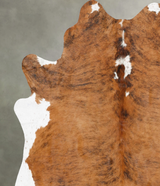 Medium Brindle X-Large Brazilian Cowhide Rug 7'0"H x 6'1"W #B29947 by Hudson Hides